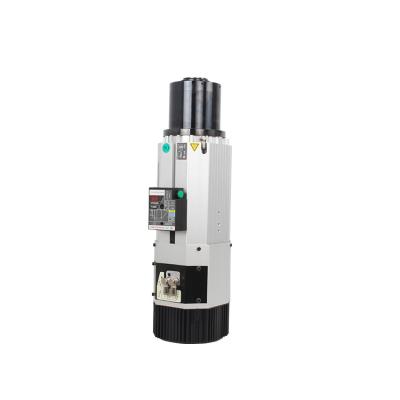 Cina 7.3Nm Torque massima Inverter Drive 9KW ATC Spindle Motor per CNC Router in vendita