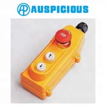 China Direct Hoist Push Button Operation Pendant Switch, W/P (COB213ES) COB213ES for sale