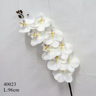 China 40023 White Orchid Real Touch Flower Real Touch Flower Phalaenopsis Artificial Orchid Home Wholesale Plastic Realistic Latex for sale