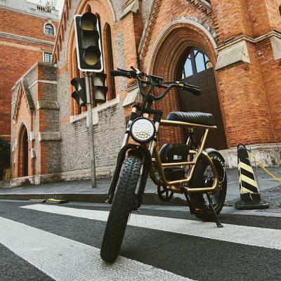 China Chinese Supplier 36V Aluminum Alloy Lithium Battery 25W Motor Electric Bicycle 6 Speed Mountain Bike for sale