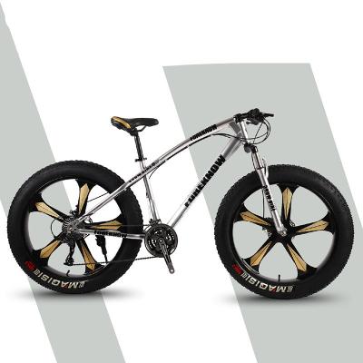 China Sliver Handsome Steel 24 26 Inch Fatbike 21 Speed Snow Mountain Bikes With Python Frame For Sale for sale