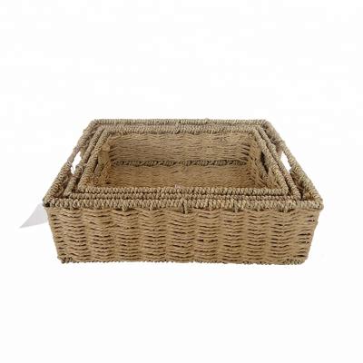 China Small Plant Plankton Eco - Friendly Material Straw Storage Basket With Handle for sale