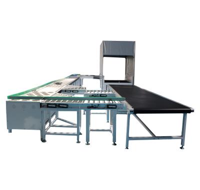 China High Speed Machinery Repair Shops Express&Logistics Center Shares Singulator / Singulation System for sale