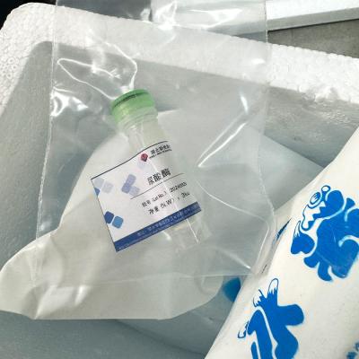 China Special Uricase Enzyme , CAS NO.9002-12-4 Systemic Enzymes Supplements for sale