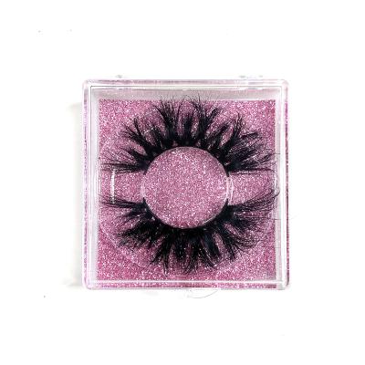 Chine Plateaux magnétiques de Lash Packaging Box With Clear d'impression offset de place à vendre