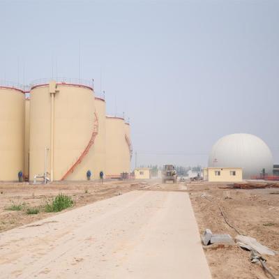 China Free Standing Dual Membrane Biogas Balloon for sale