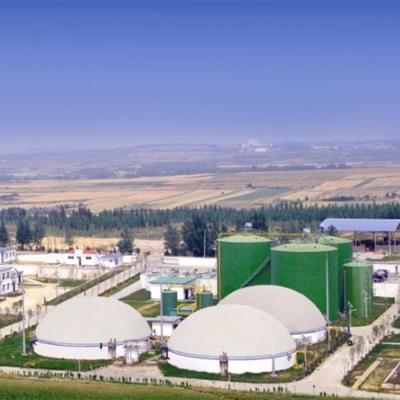 China Digester Mounted Double Membrane Biogas Gas Holder Weather Resistant for sale