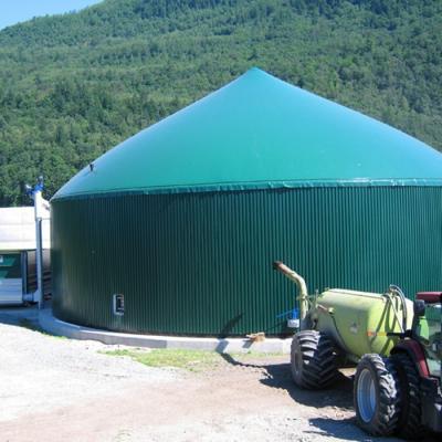 China Single Membrane Biogas Cover For Biogas Project Low Emission for sale