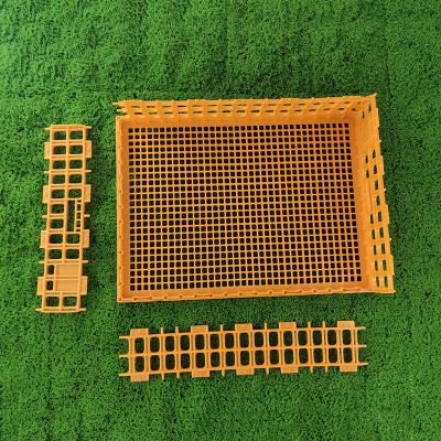 Chine Cages de transport de volailles légères et portables compatibles avec différents types de volailles à vendre