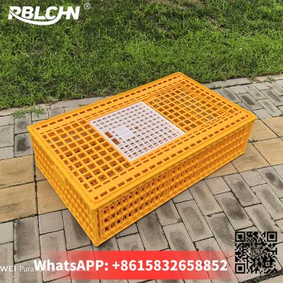 Chine Des cages de transport de volailles de grande taille à vendre