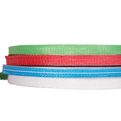 China Buckles Lifting Bag Tenacity PP Webbing Strap/Ton Breathable Colorful Polypropylene PP Webbing High Tenacity for sale