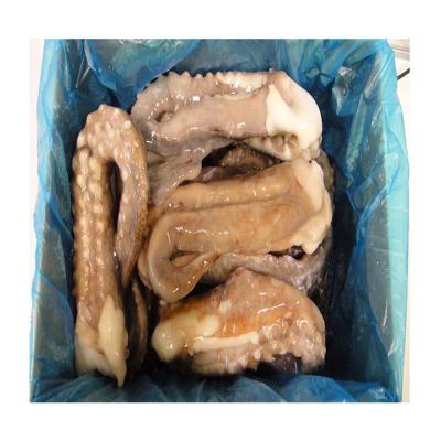 China IQF Nutritious Frozen Mexican Seafood Giant Squid Tentacles for sale