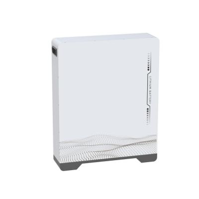 Cina 51.2V 200Ah LiFePO4 Battery Pack per lo stoccaggio di energia sostenibile e di lunga durata in vendita