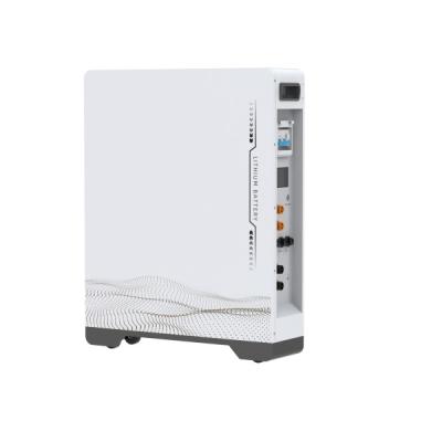 Cina 10kWh LiFePO4 Batteria Home Energy Storage Batteria 48V 51.2V 230Ah in vendita