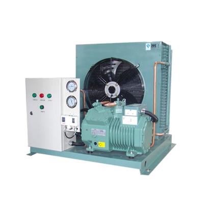 China Refrigeration Parts CE Certified Cold Room Semi Condensing Unit Compressor for sale