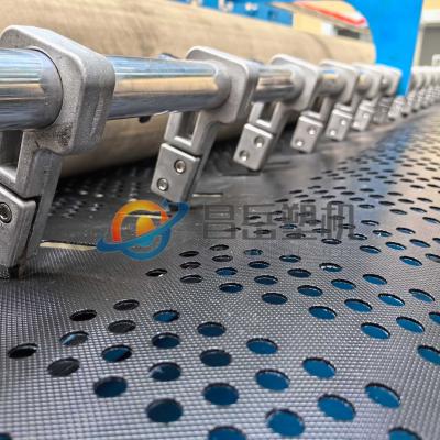 Cina Apparecchiature di estrusione per la geostabilizzazione completamente automatiche per la produzione di geosintesi in forte domanda in vendita