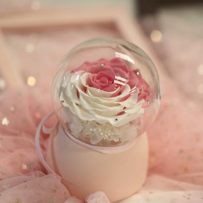 China Handmade Every Real Eternity Flower Preserved Nature Rose In Hand Customized By Love Cranked Crystal Ball Rotating Music Box As Gifts for sale