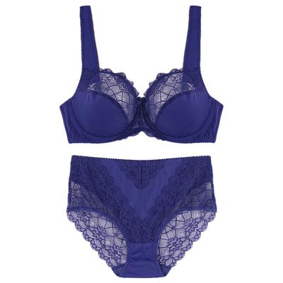 China 5-C006/P006 QUICK DRY women's sexy lace bra brief set blue lingerie lift up bra set plus size women underwear set 80E-100E and XL-XXXXLPanty for sale