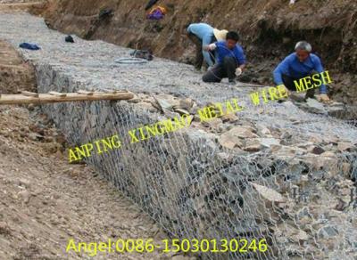 China Gabion Box/Gavion Mesh/Hexagonal Wire Mesh/Gavion colchón/gabion en venta