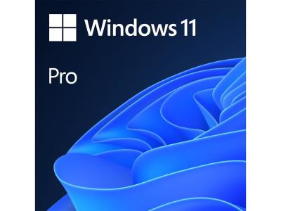 China Windows 11 Enterprise Edition, BitLocker & Virtual Desktop 100% Online Activation Globally
for sale