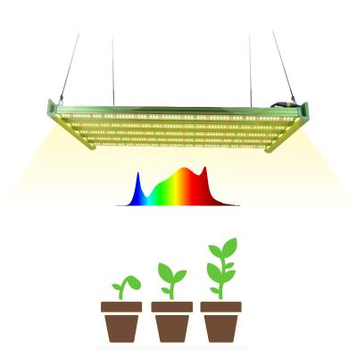 China Seed Starting King Brite XP Bar 320W LM301H+Epistar 660nm IR KingBright UV LED Full Spectrum Grow Light By KingBrite Lighting for sale