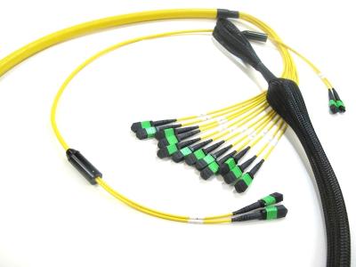 China MPO zum MPO-Stamm-Kabel, hohe Fasern des Telekommunikations-Einmodenfaser-optischen Kabels der Bandbreiten-12 - 288 zu verkaufen