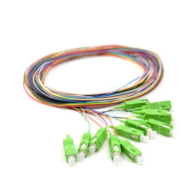 China 0.9mm Zopf-Monomode-, 1m Sc APC Kern des Monomode--Zopf-12 für FTTx-Netz zu verkaufen