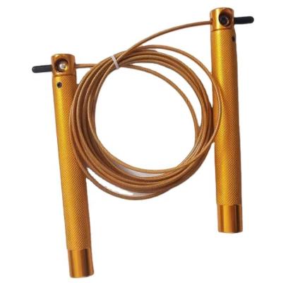 China Fast Speed Gym Equipment Exercise Jump Speed Adjustable Ratio 3m Aluminum Cordless Rope for sale