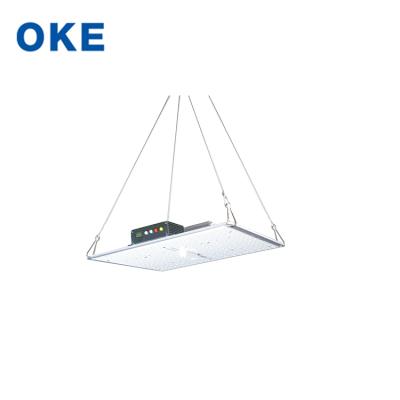 China Seed Starting Factory Direct Sales Maximum Input Current 1.15A Vegetable Water Cultivation Indoor Led Plant Growth Light for sale