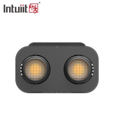Cina IP65 200 luce dei paraocchi degli occhi LED di watt 2 in vendita