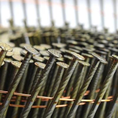 China Building Construction 15 Degree Zinc Wire Coil Nails For Construction, Decoration, Packaging for sale