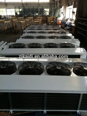 Chine 144kw Capacity Freezer Cooler With Variable Refrigerant And 9mm Low Temperature Copper Tube à vendre