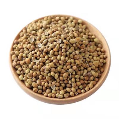 China Export Quality Dried Coriander Seeds for sale