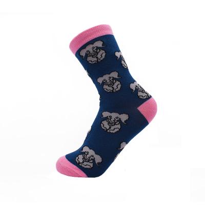 China AGRADECIDO Antibacterial Custom Cotton Socks Women and Men Crew Socks Colorful Funny Jacquard Skateboard Socks for sale