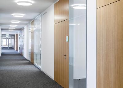 China Panel doors versatile solutions for functional aesthetic spaces for sale