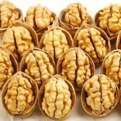 China Dried High Quality Nuts / Susceptible Dried Walnuts / Whole Walnut Shell-shelled Walnuts for sale