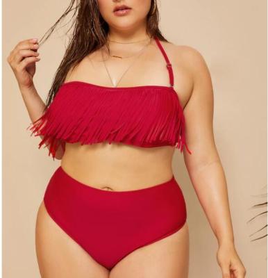 China 2019 New Plus Size Two piece Tassel High Waist Swimsuit Women Push up for sale