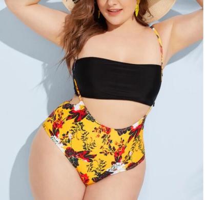 China 2019 New Plus SizeTwo piece Woman's swimwear Push up for sale