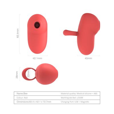 China Rechargeable Silicone Vibrator Waterproof 10 Speed Vibrating Panties Sex Toys Bullet Vibrators Toys Sex for Women Clitoris Stimulator for sale