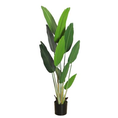 China Contemporary 160cm Modern Indoor Home Decor Large Outdoor Tropical Plastic Bonsai Plant Artificial Banana Tree for sale