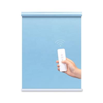 China French Door Motor Roller Shade Window Shades Water Proof Sunscreen Roller Shade For Window for sale