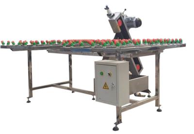 Cina Levigatrice di vetro automatica del nastro abrasivo per l'elaborazione dura del bordo del vetro piano in vendita