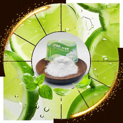 China Chemical Name N Purity 99.0% Min Super Cool Icy Cooling Agent with No Odor and Flavor WS23 for sale