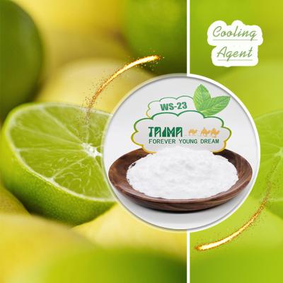 China Cooling Agent WS-23 XIAN TAIMA High Quality Food Grade Cooling Agent Powder Hot Selling for Food Beverage E Liquid Vape Juice for sale