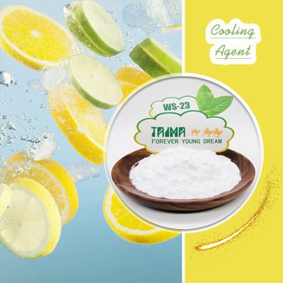 China XIAN TAIMA Supply High Quality WS23 Food Grade Cooling Agent WS-23 Powder for Food Beverage E Liquid Vape Juice for sale