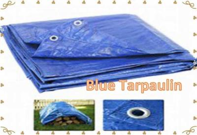 China Blue Tarp Tarpaulin Poly Tent Canopy Cover Camping Ground Sheet With Grommets for sale