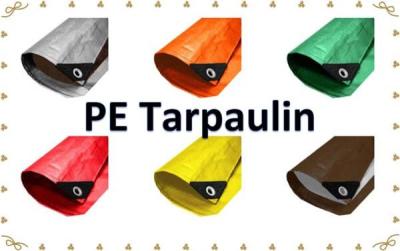 China All Purpose Plastic Cloths Plastic Sheet Pe Tent Temporary Shelter Cover for sale