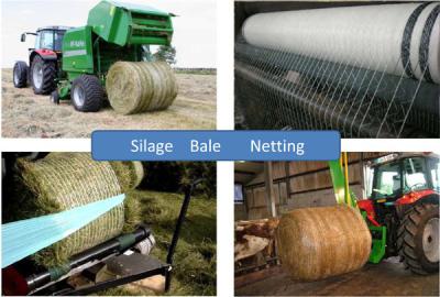 China Hay Warp Netting Silage Bale Wrap Netting Bundle of Grass Netting for sale