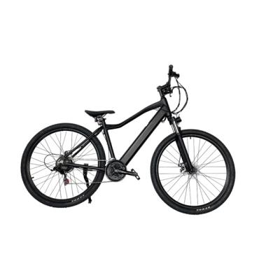 China Aluminum Alloy OEM 250W 36V Brushless Motor Durable 29Inch Fat Electric Bicycle 21 Speed Ebike for sale