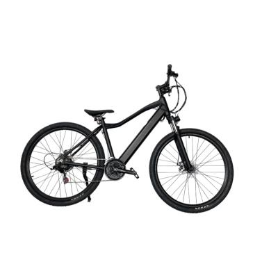 China Hot Sale 21 Speed Aluminum Alloy Mtb Electric Bike Goods Mechanical Disc Brake Bike for sale